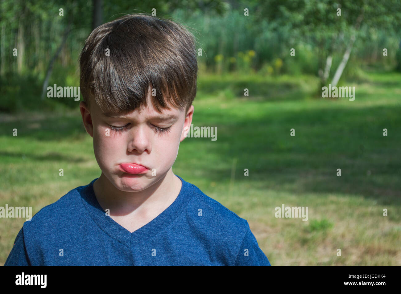 Sulky of america hi-res stock photography and images - Alamy