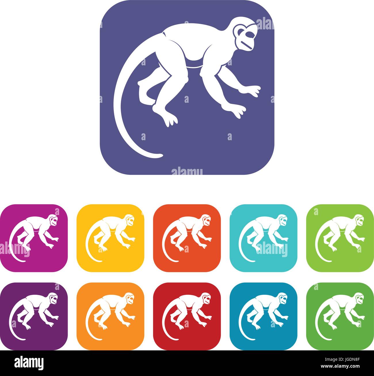 Capuchin monkey icons set flat Stock Vector Image & Art - Alamy