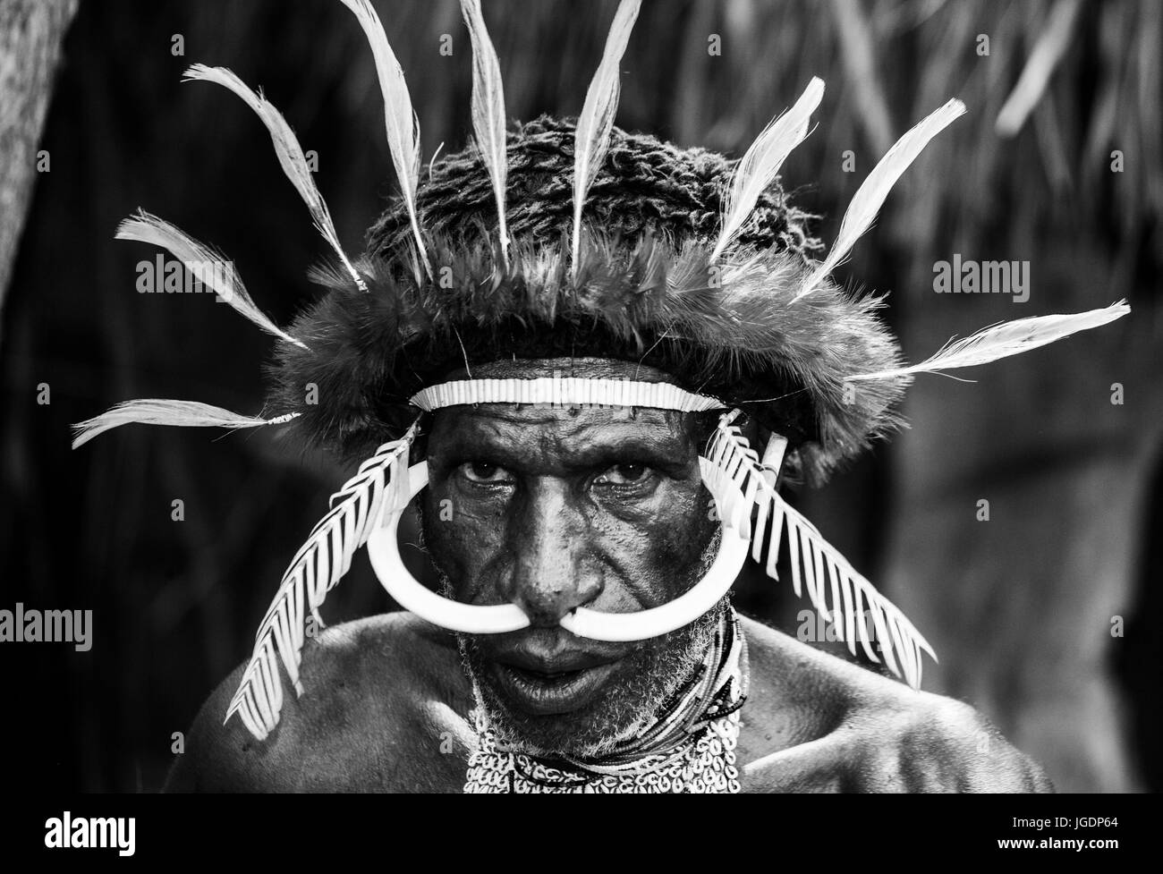 Dani tribe Black and White Stock Photos & Images - Alamy