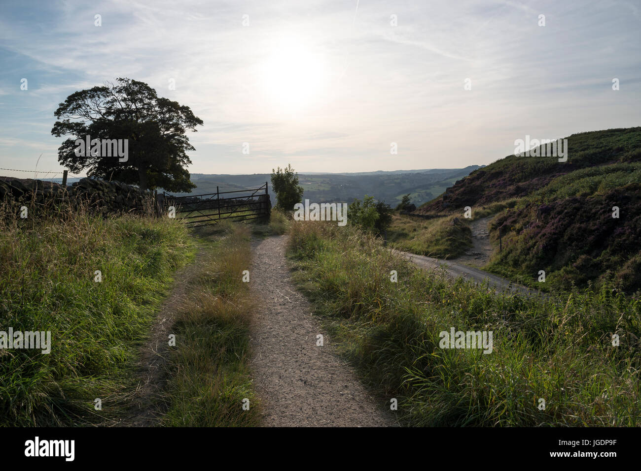 Footpath and road at Curbar gap on a summer evening in the Peak District, Derbyshire, England. Stock Photo