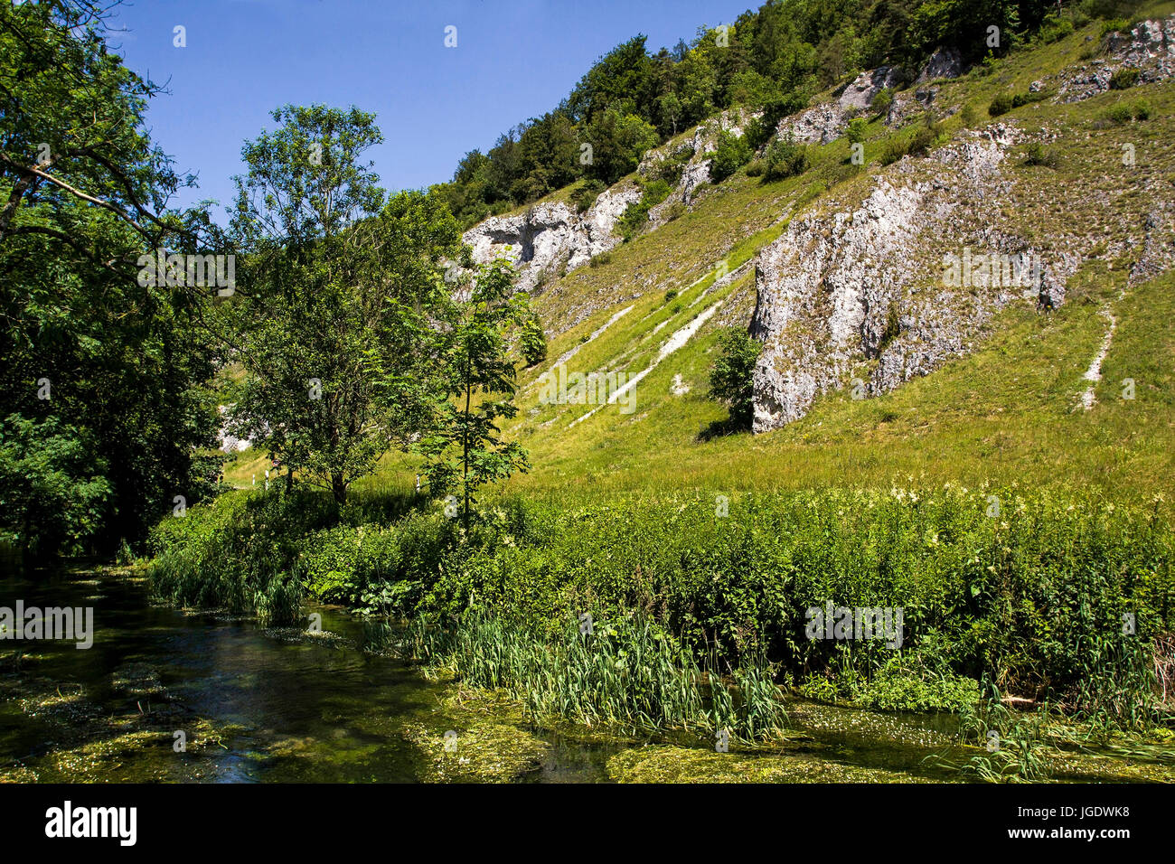 Small pure valley, Swabian nightmare, bathing Wurttemberg, Germany, Kleines Lautertal, Schwäbische Alb, Baden Württemberg, Deutschland Stock Photo