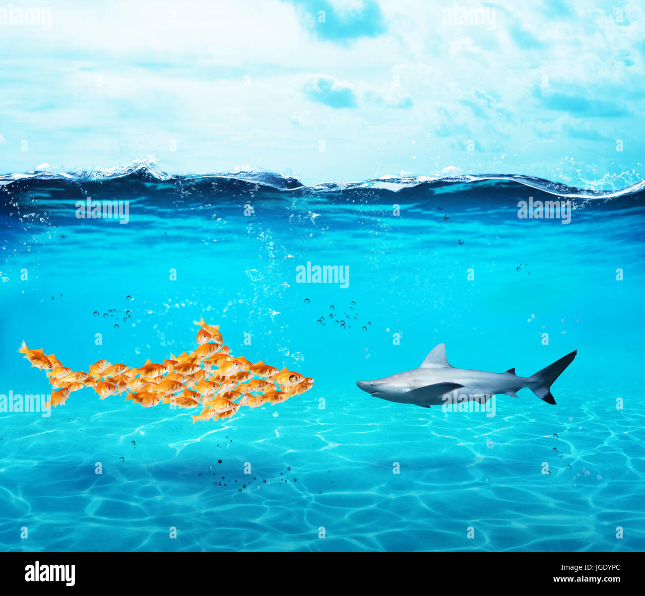 Big shark made of goldfishes. Concept of unity is strenght,teamwork and partnership Stock Photo