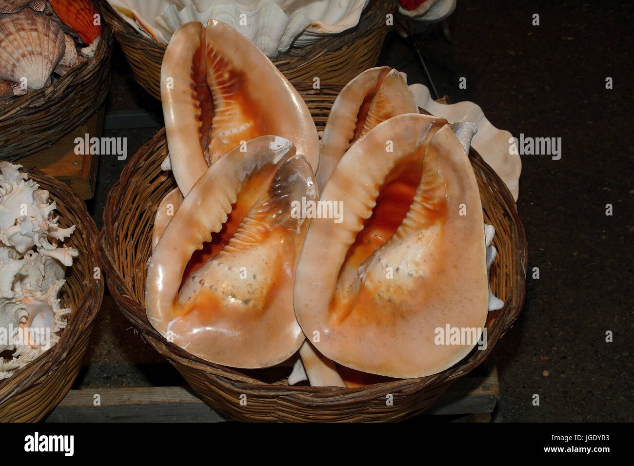 Old Town of Rhodes. Stand of sea products., Altstadt von Rhodos ...