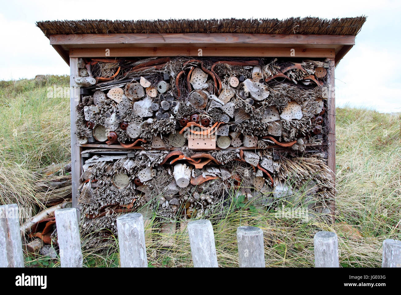 Nesting arrangement and the following ?? r bees and bumblebees, Nistanlage für Bienen und Hummeln Stock Photo