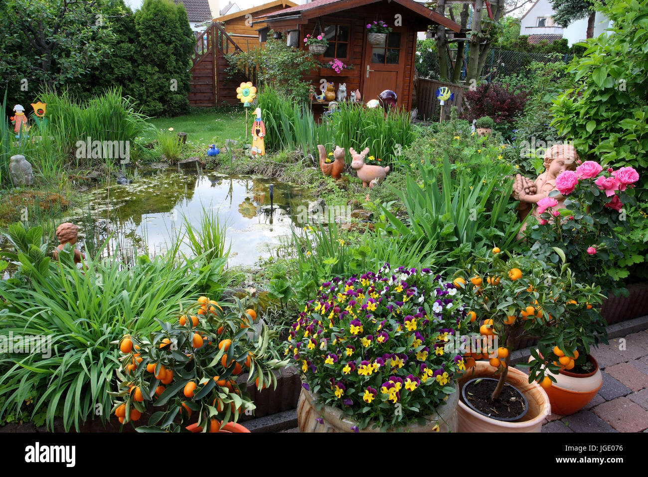 Garden with pond in the spring, Garten mit Teich im Fruehling Stock