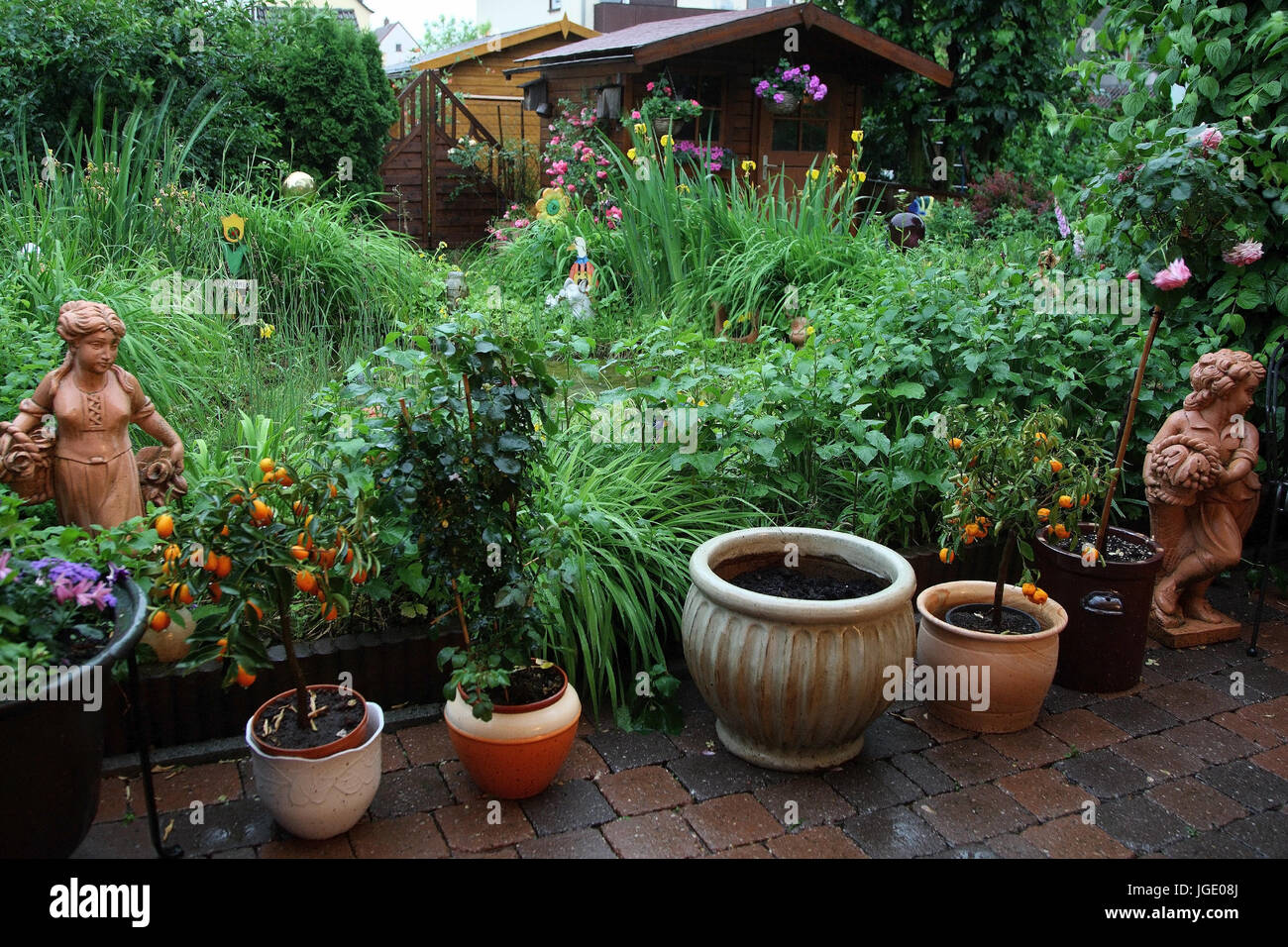 Summer Garden With Summer House In The Rain Sommergarten Mit Stock Photo 147825010 Alamy