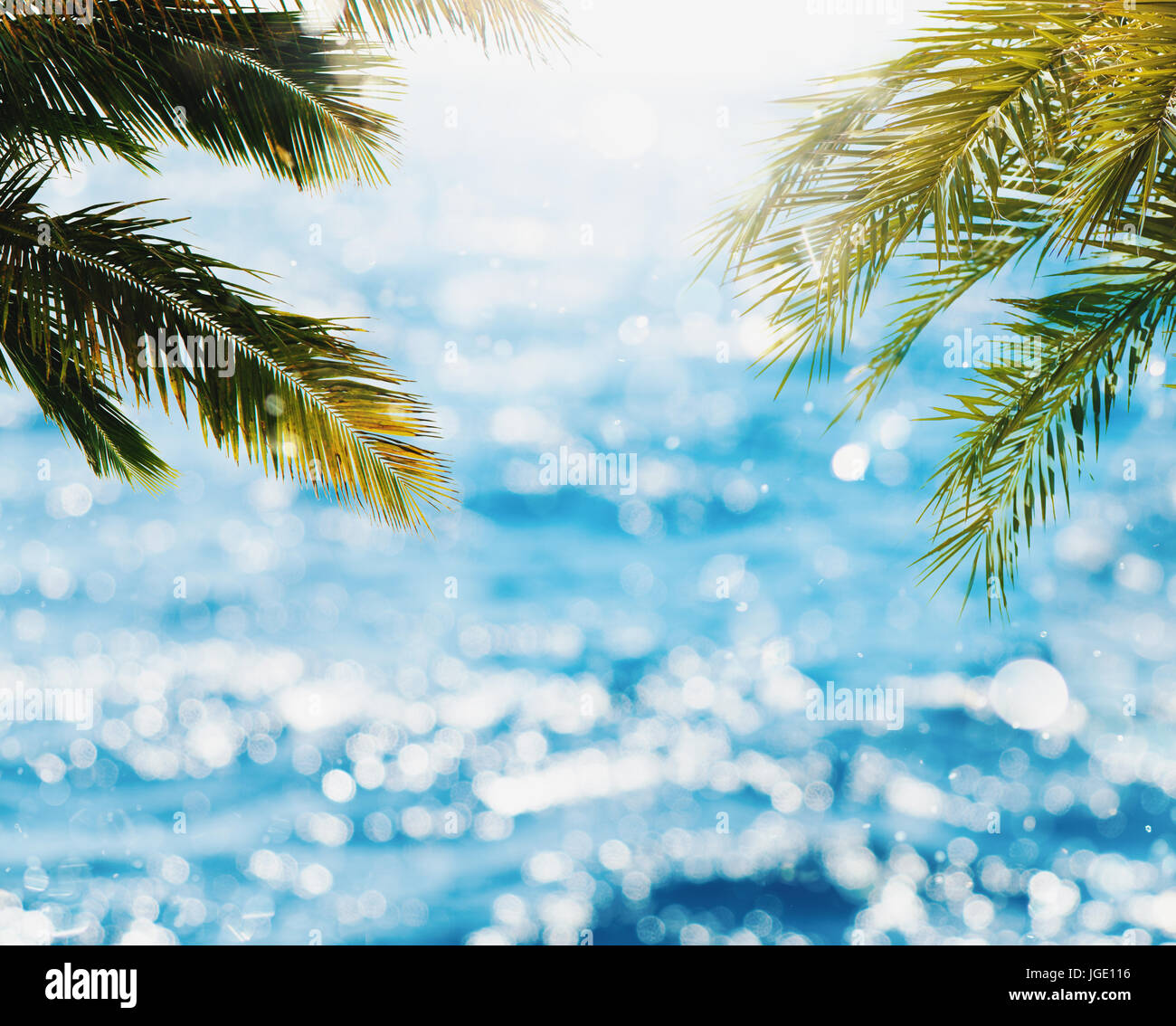 Tropical beach with coconut tree and bright sea Stock Photo