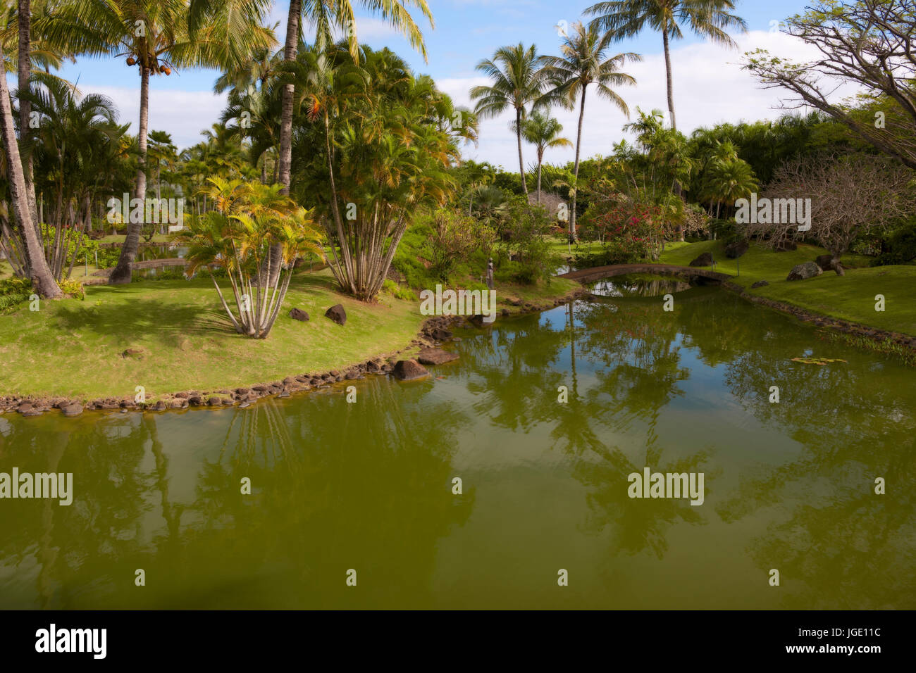 Morning calm in the Na Aina Kai Botanical Garden on Hawaii’s Island of Kauai. Stock Photo