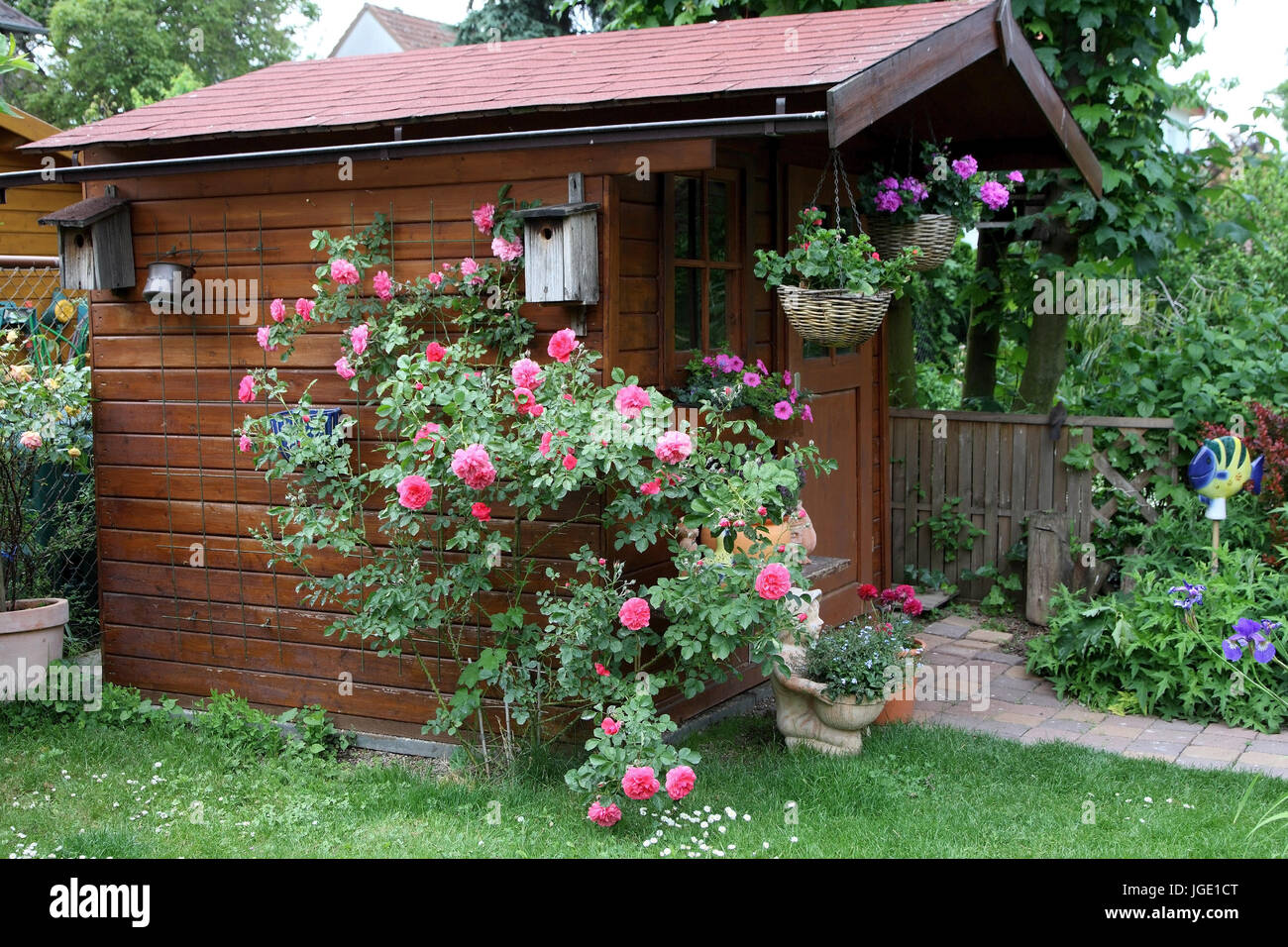 Summer house with roses, Gartenhaus mit Rosen Stock Photo