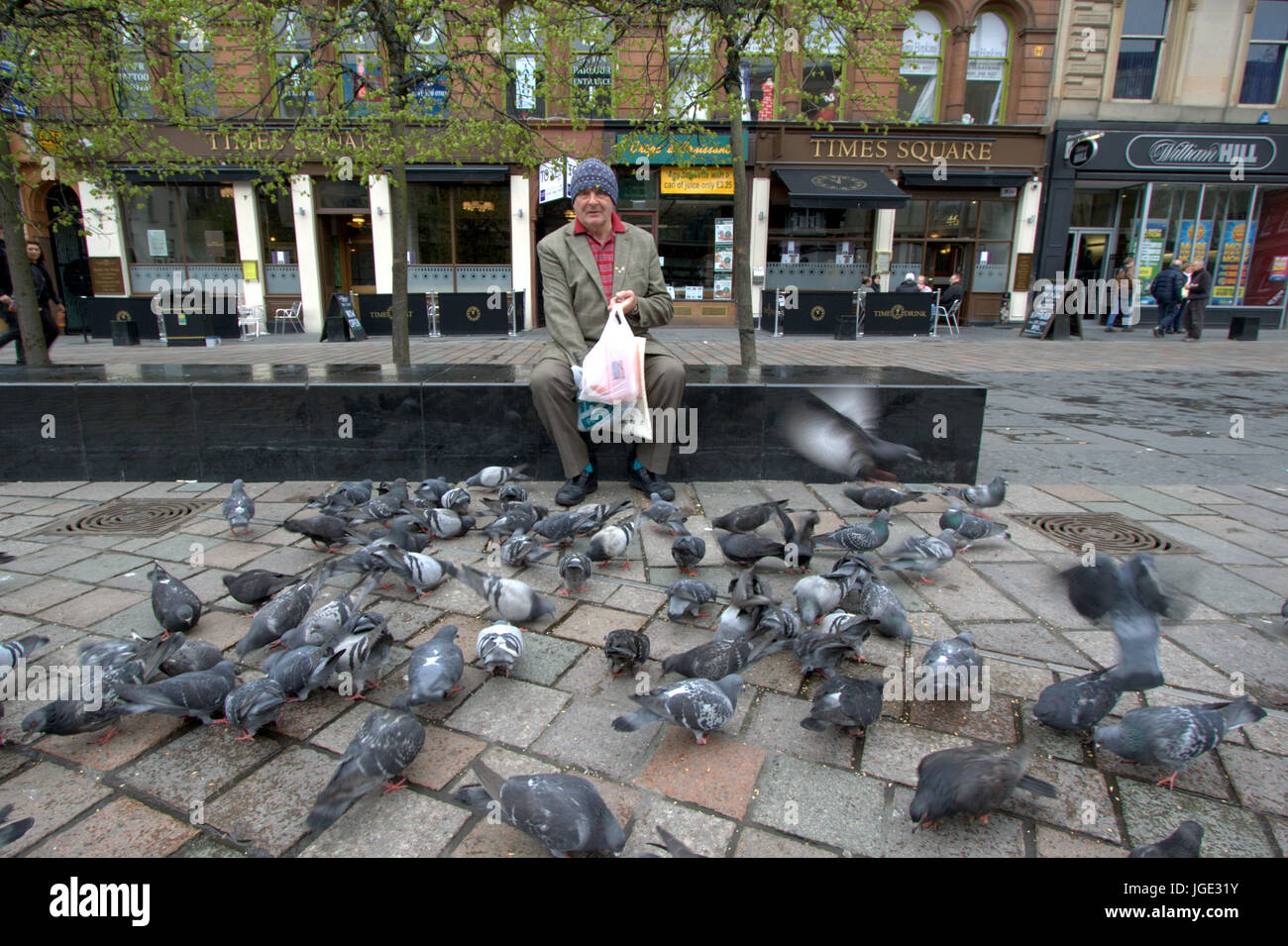 old man alone quirky dressed feeding pigeons in a square sitting on a bench in Glasgow Stock Photo