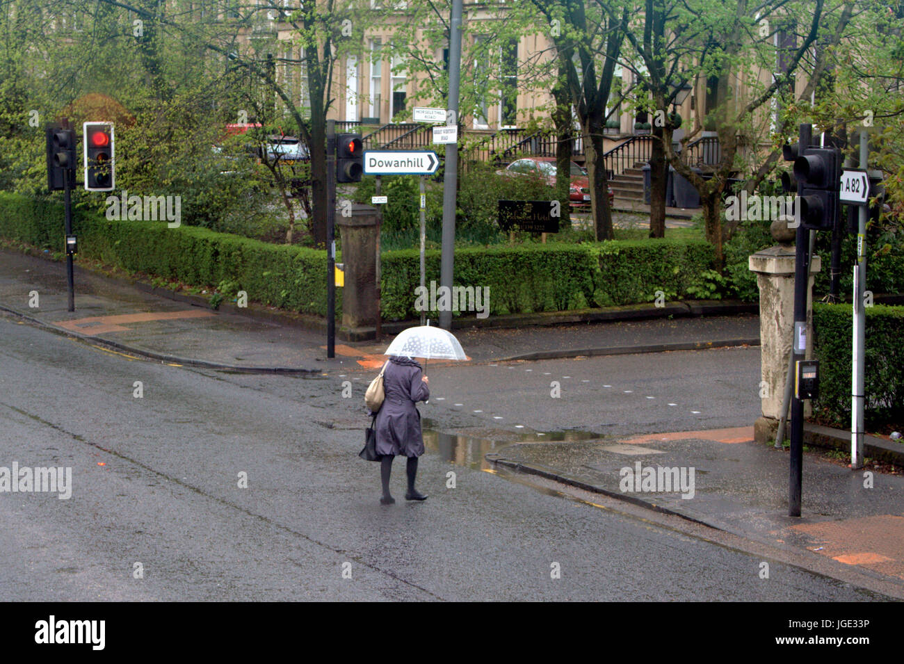 Glasgow street Great Western Road woman crossing road with umbrella in rain Dowanhill  sign Stock Photo