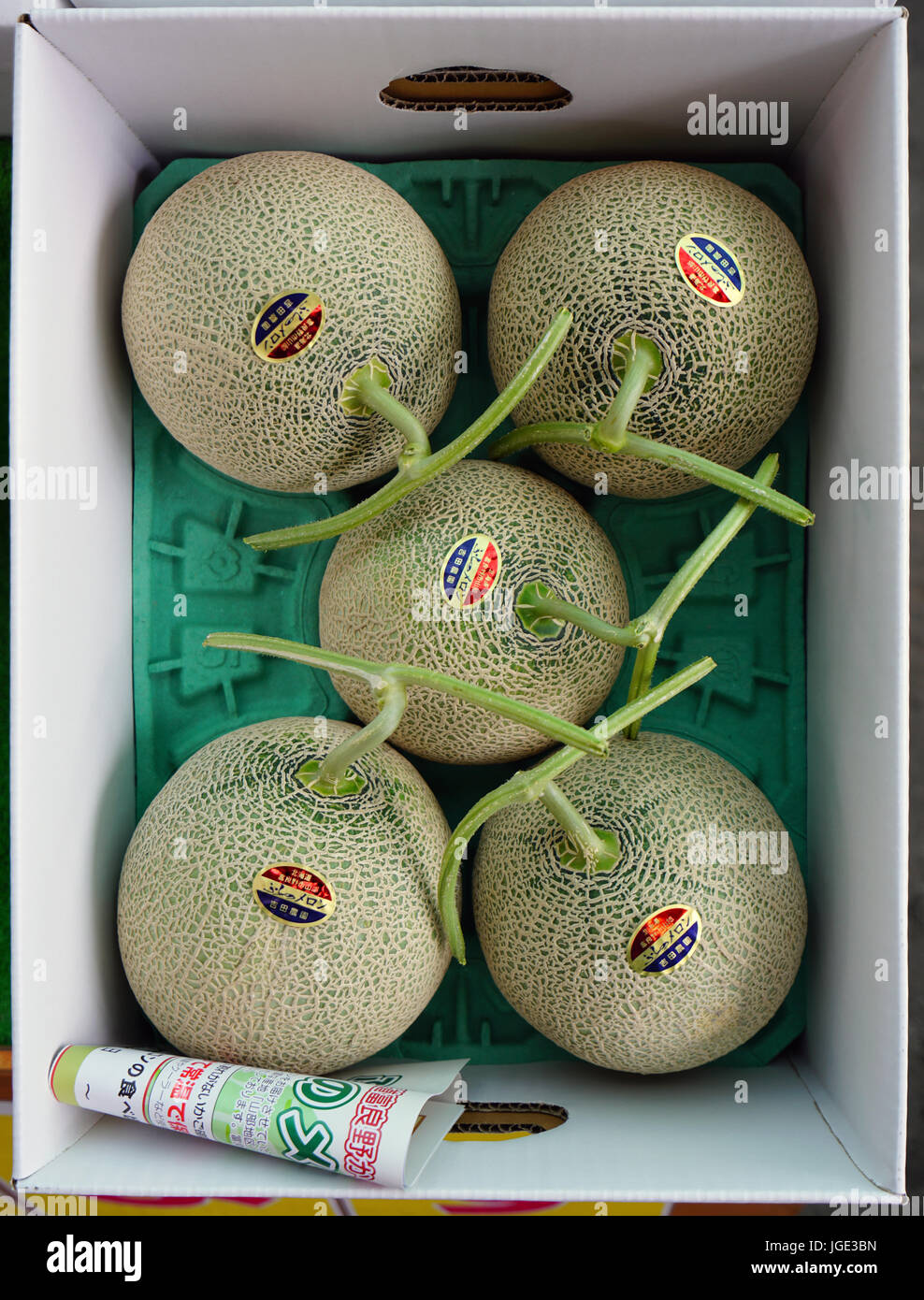 Expensive highly prized melons with perfect shapes are produced on the