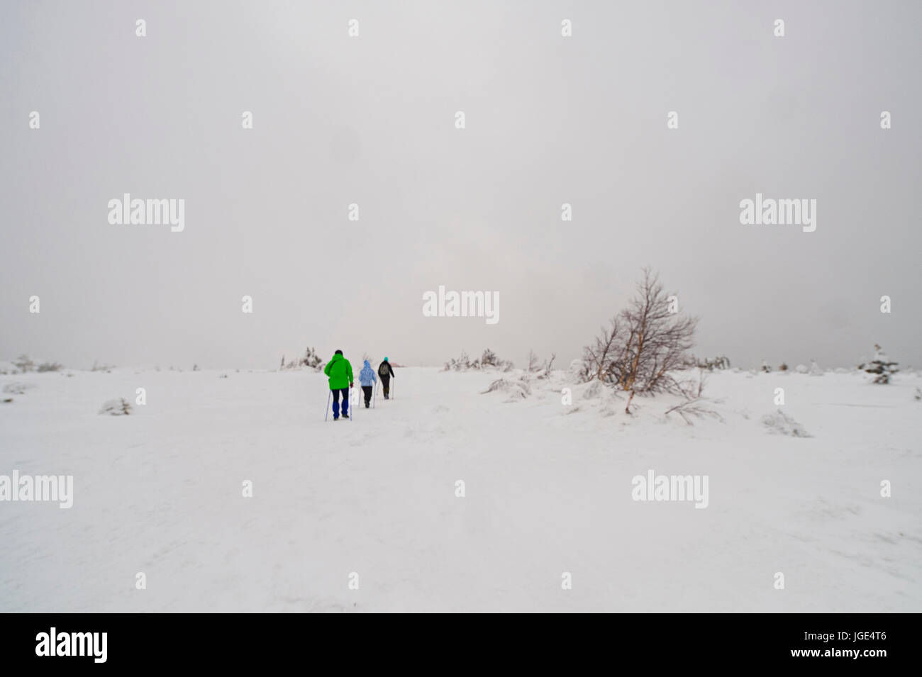 Caucasian women hiking in remote field in winter Stock Photo