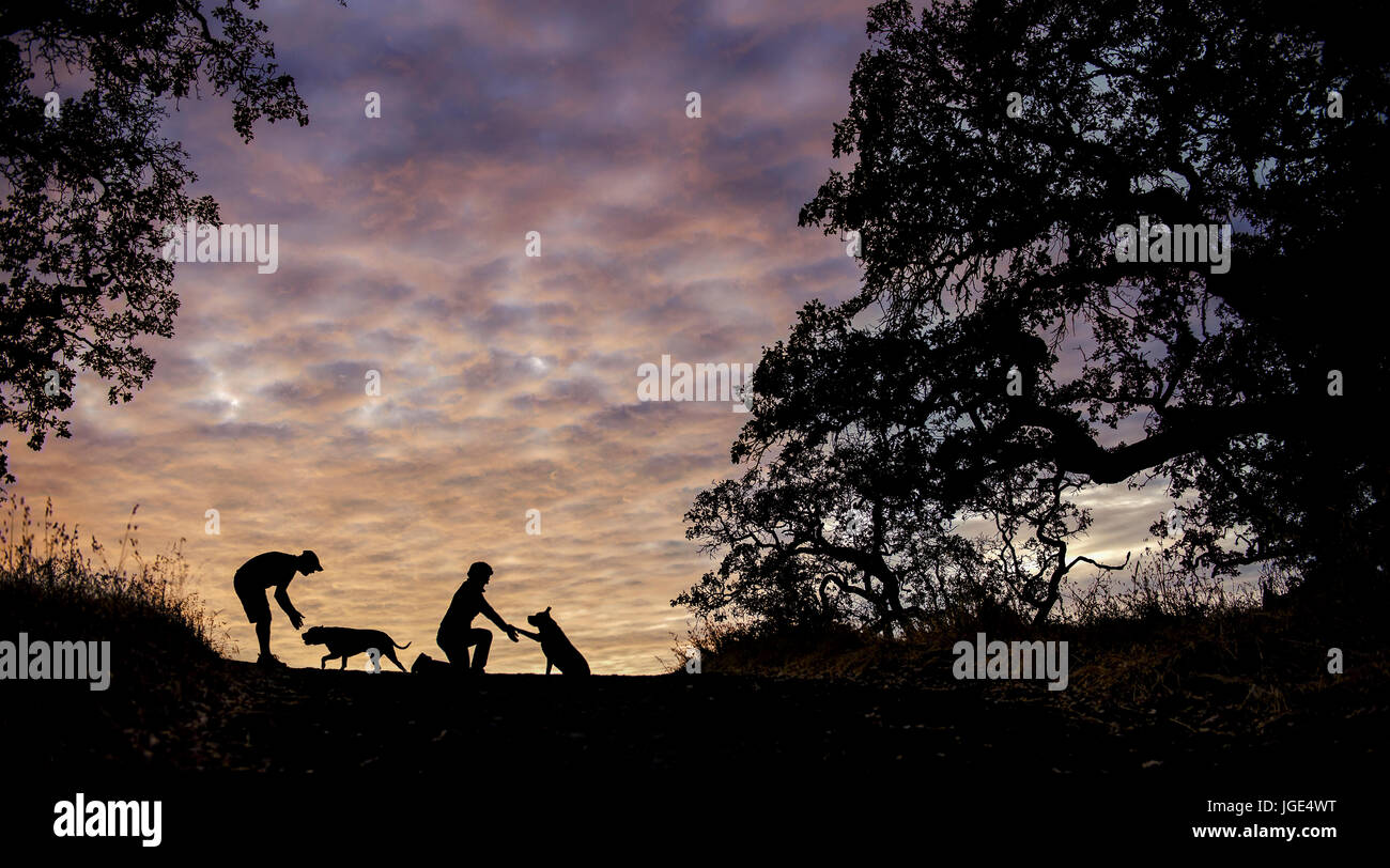 Kneeling silhouette hi-res stock photography and images - Alamy