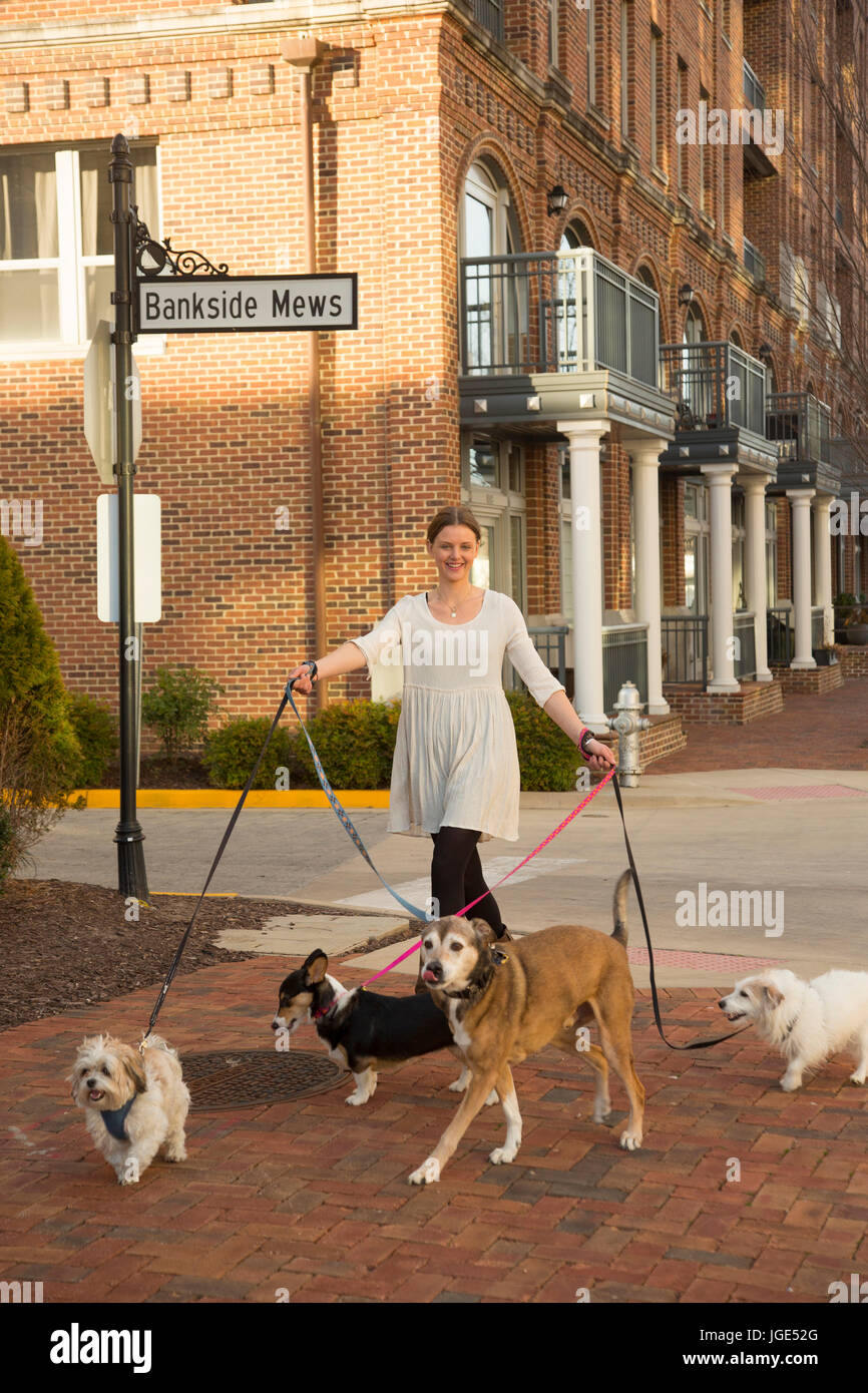 Caucasian woman walking dogs in city Stock Photo