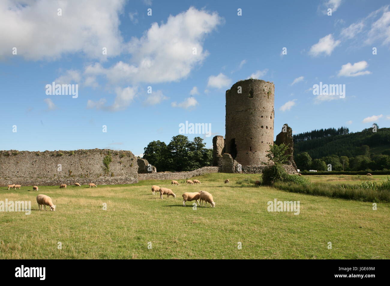 Shell Keep High Resolution Stock Photography and Images - Alamy
