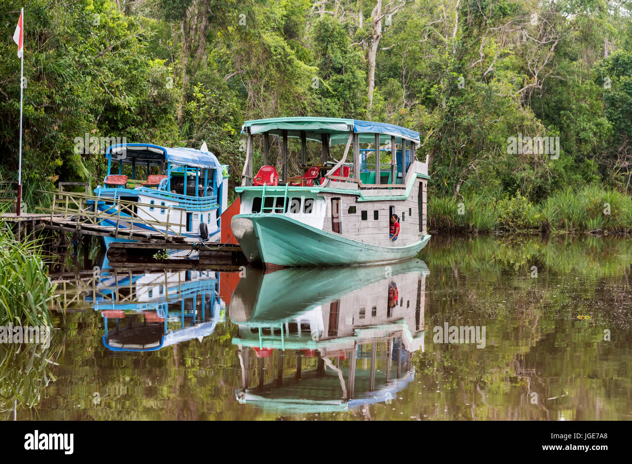 River boats, Sekonyer River, Kalimantan Province, Borneo, Indonesia Stock Photo