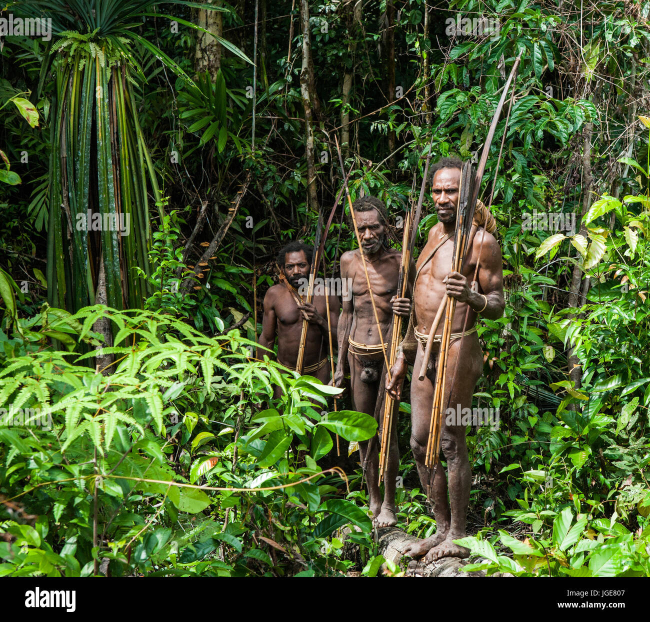 INDONESIA, ONNI VILLAGE, NEW GUINEA - JUNE 24: Men Korowai tribe returned from the hunt. Tribe of Korowai (Kombai , Kolufo) Stock Photo