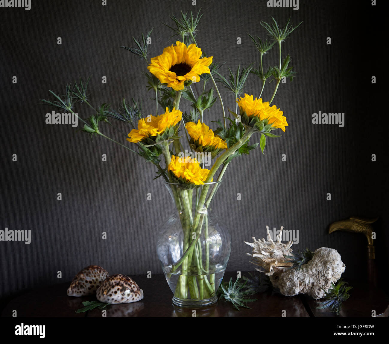 A Still Life arrangement of yellow sunflowers with tiger cowries and spondylus with painterly effects and dark patterned background in natural light Stock Photo