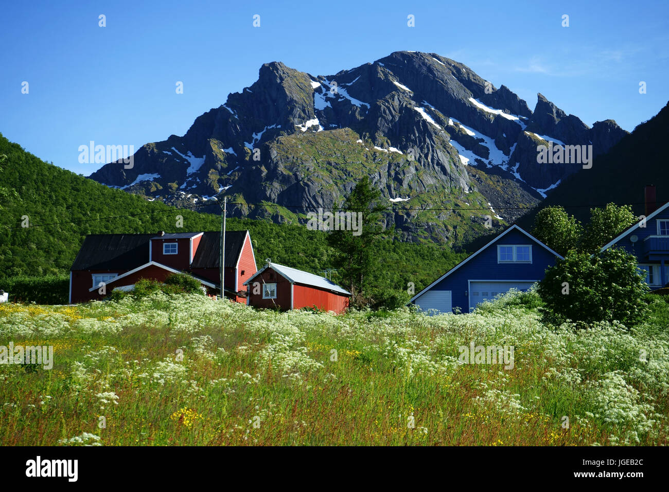 Farmhouses between Fiskebol and Stronstad on  Austvagoy island, Lofoten, Norway Stock Photo