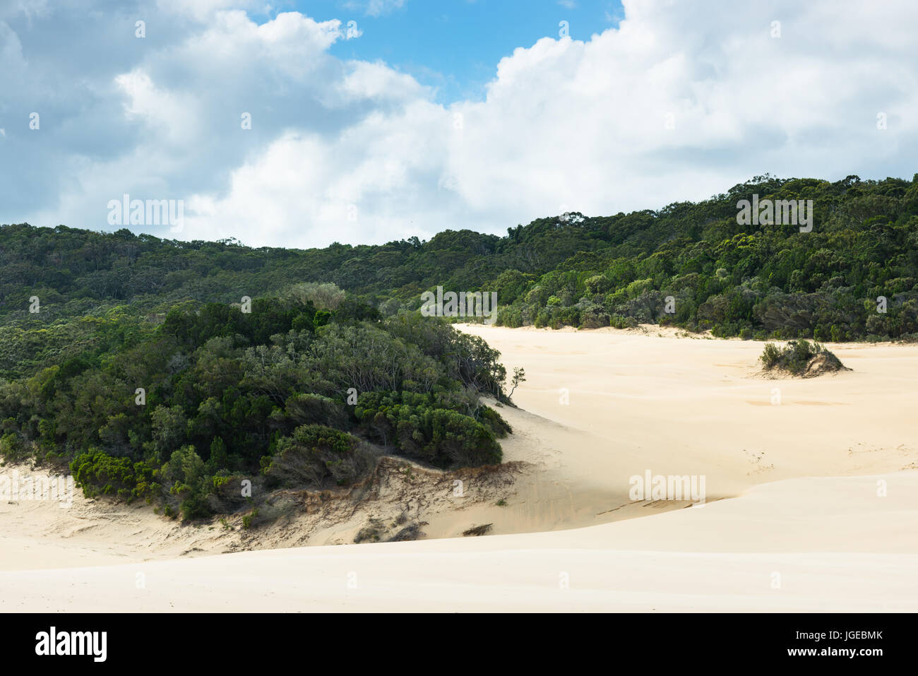 Hammerstone Sandblow, Fraser Island, Queensland, Australia. Stock Photo