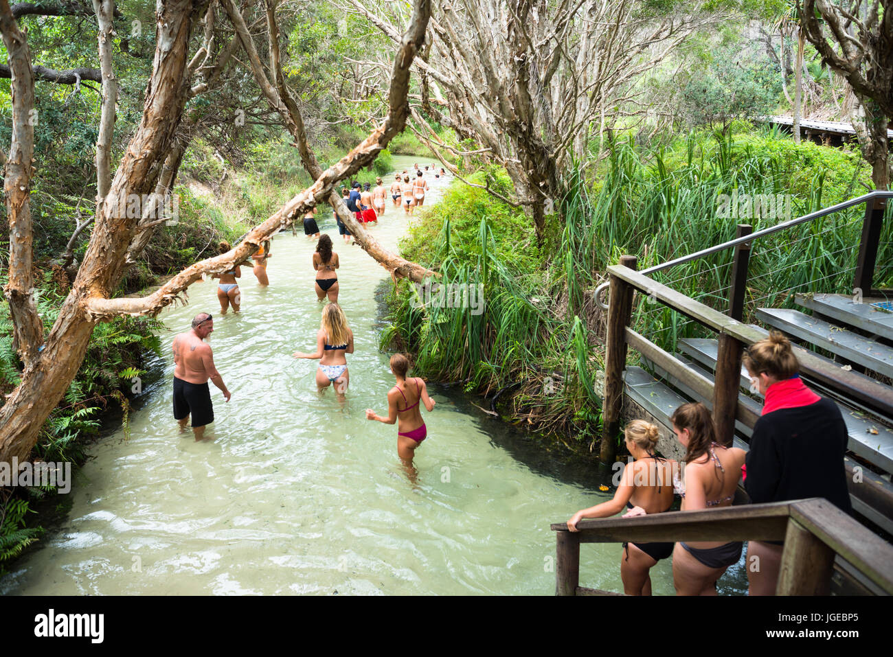 River Eli Creek, Great Sandy National Park, Fraser Island, Queensland, Australia. Stock Photo