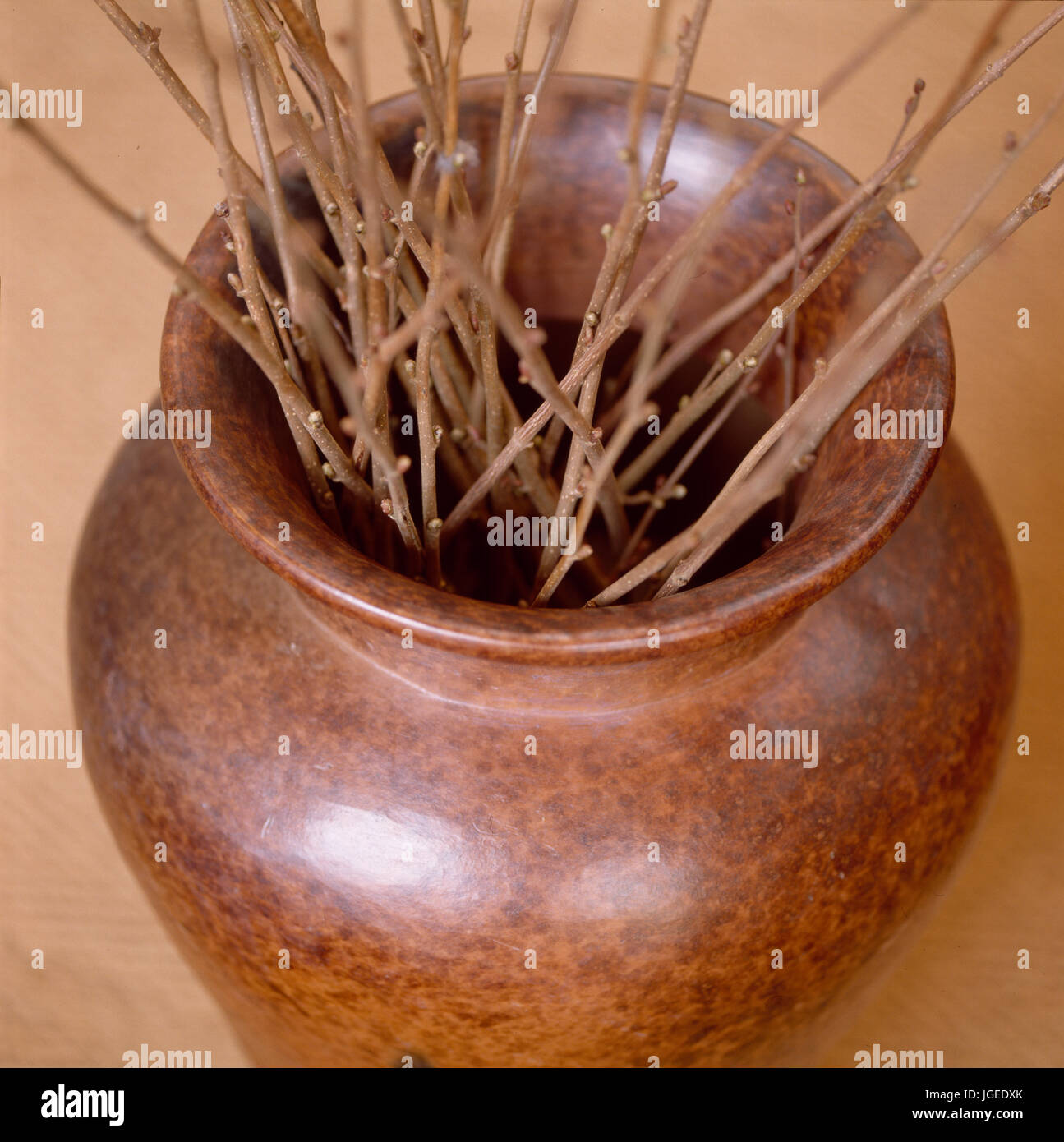 Closeup of polished wood vase holding twigs Stock Photo Alamy