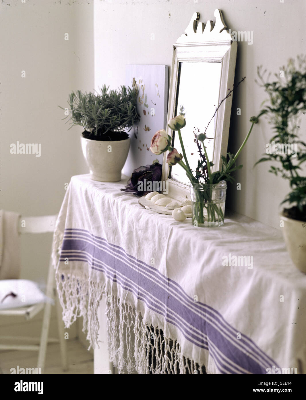 Closeup of a mirror and houseplants on mantlepiece draped with fringed shawl Stock Photo