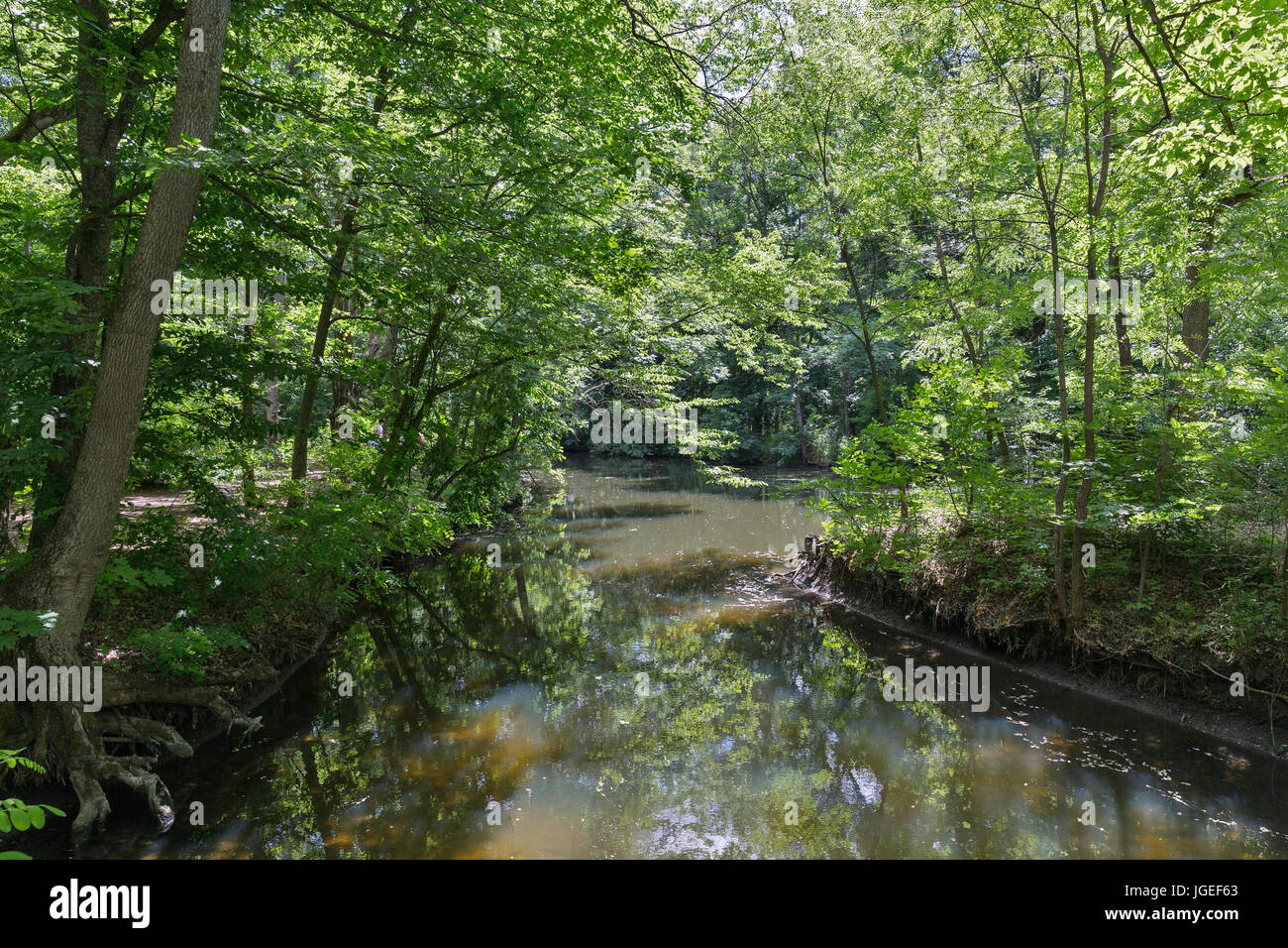 Wet labyrinth hi-res stock photography and images - Alamy