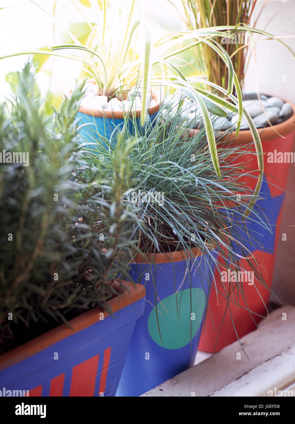 Green plants in decorated terracotta pots Stock Photo