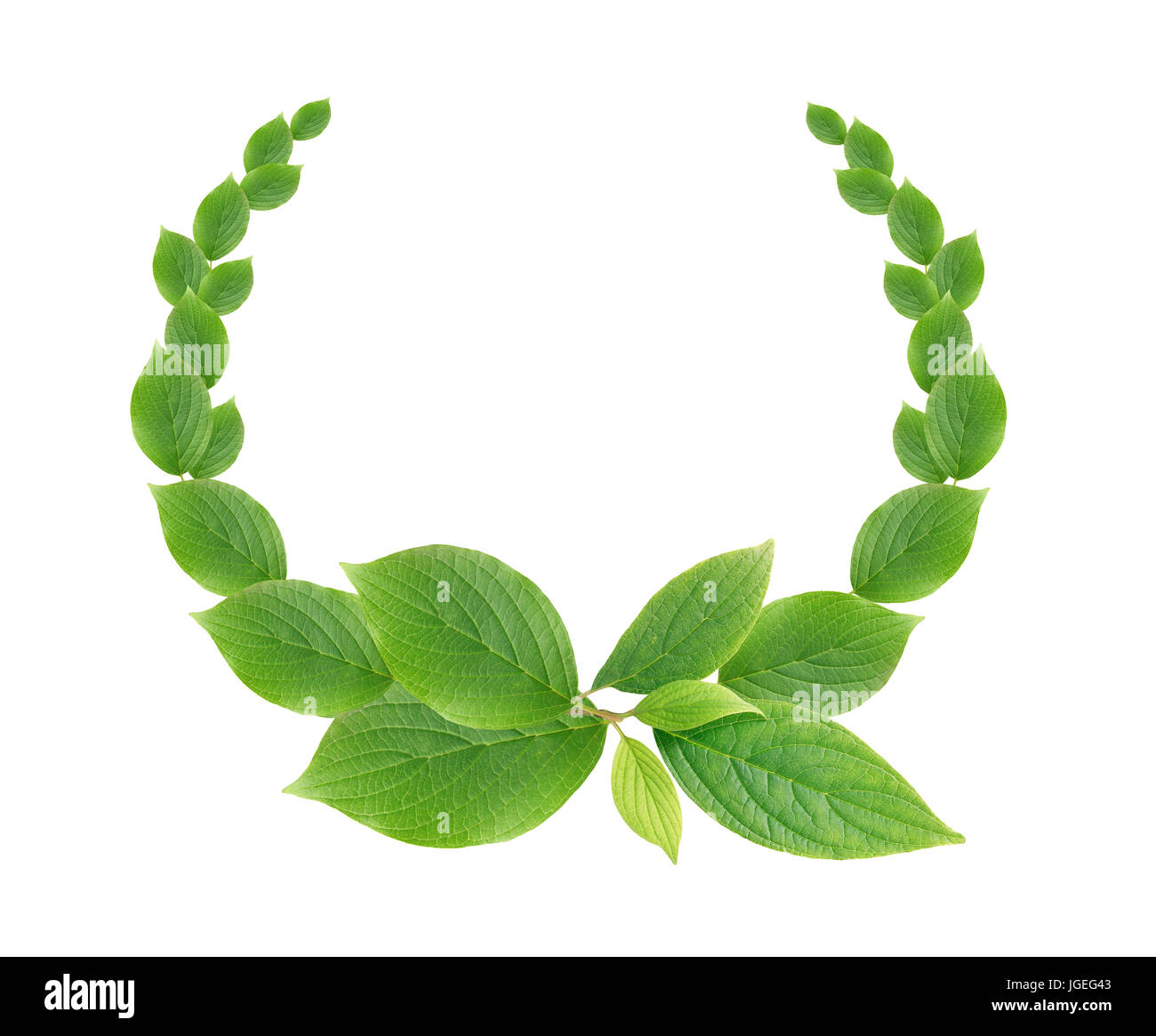 Beautiful wreath made from freshness green leaves Stock Photo