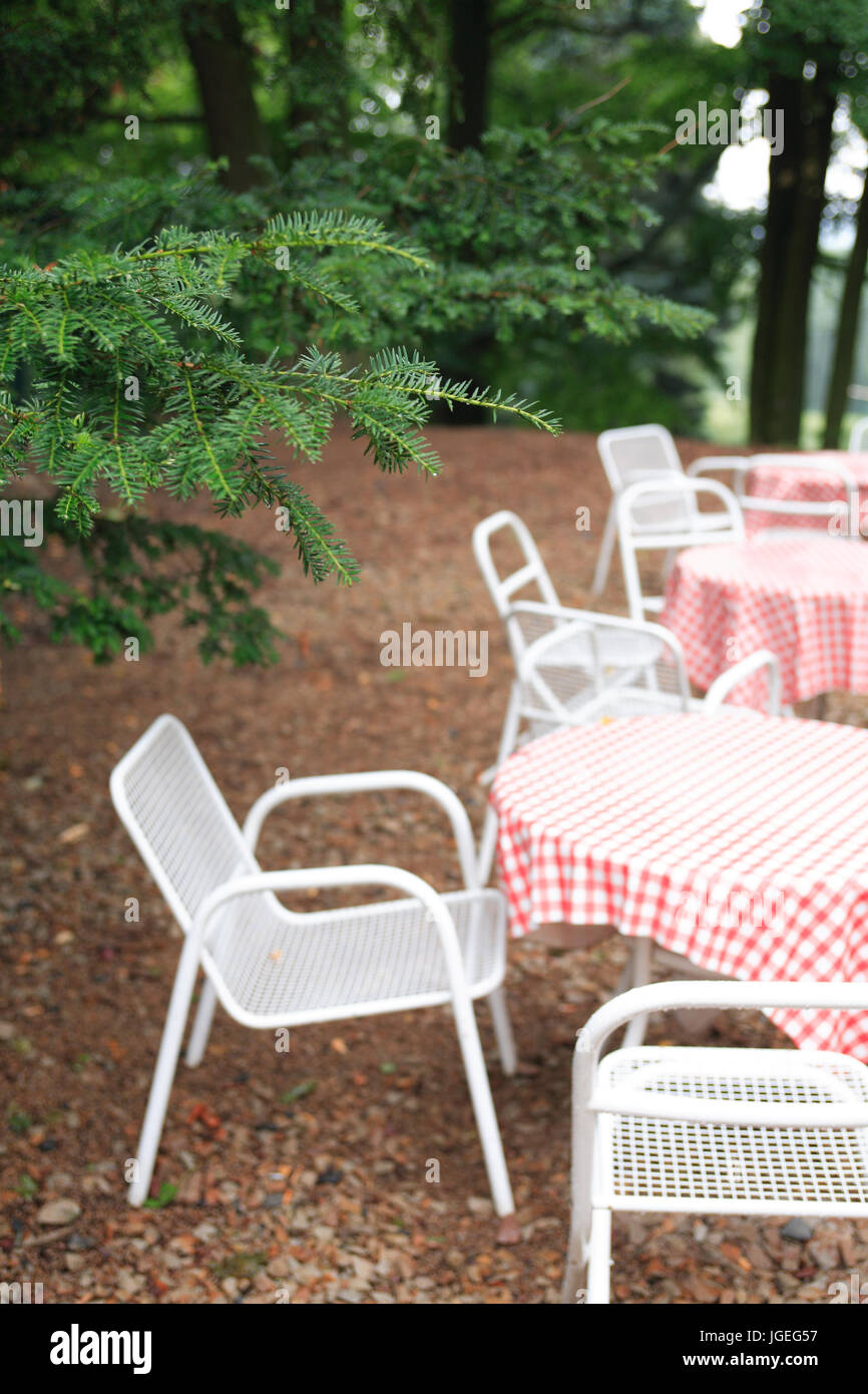 Few empty tables and chairs under wet fir tree in forest Stock Photo