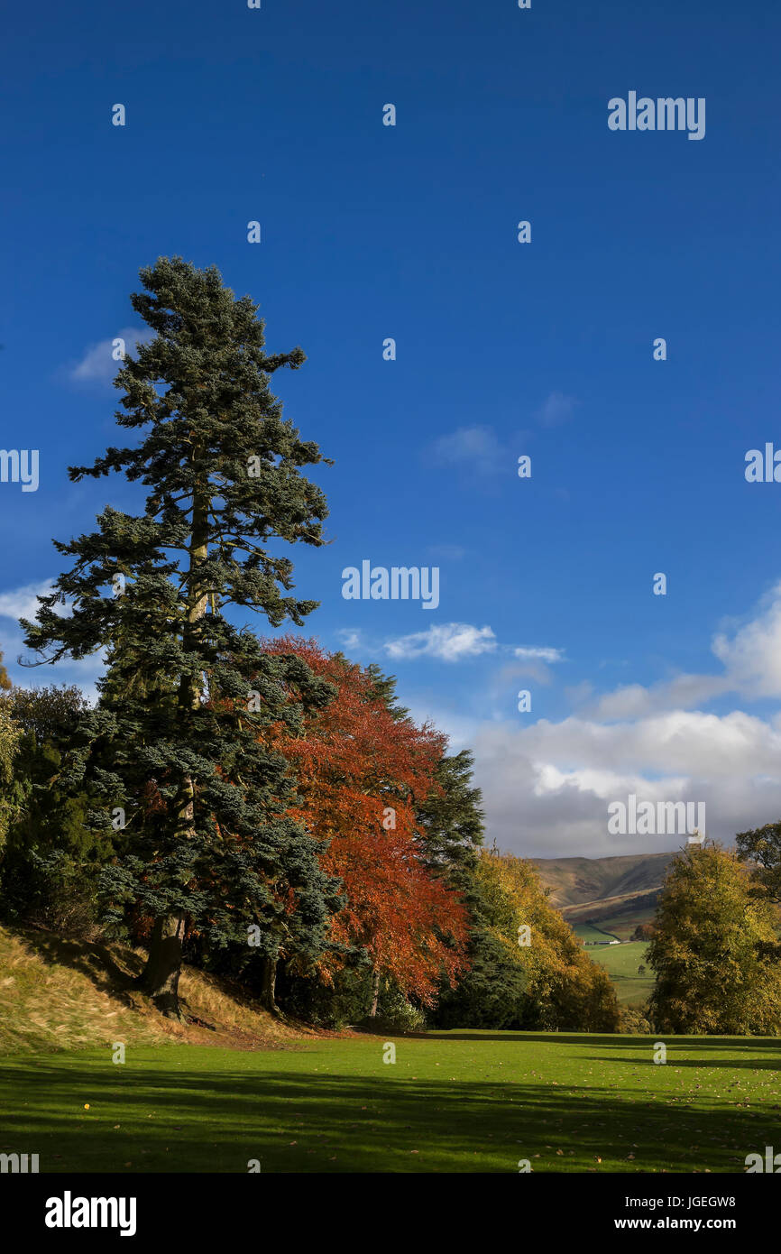 The grounds of Barony Castle, Eddleston, Scottish Borders, UK Stock