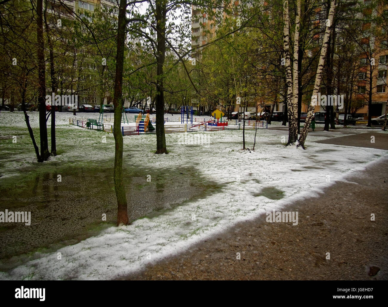 the snow that fell in the spring in Moscow, Russia Stock Photo - Alamy