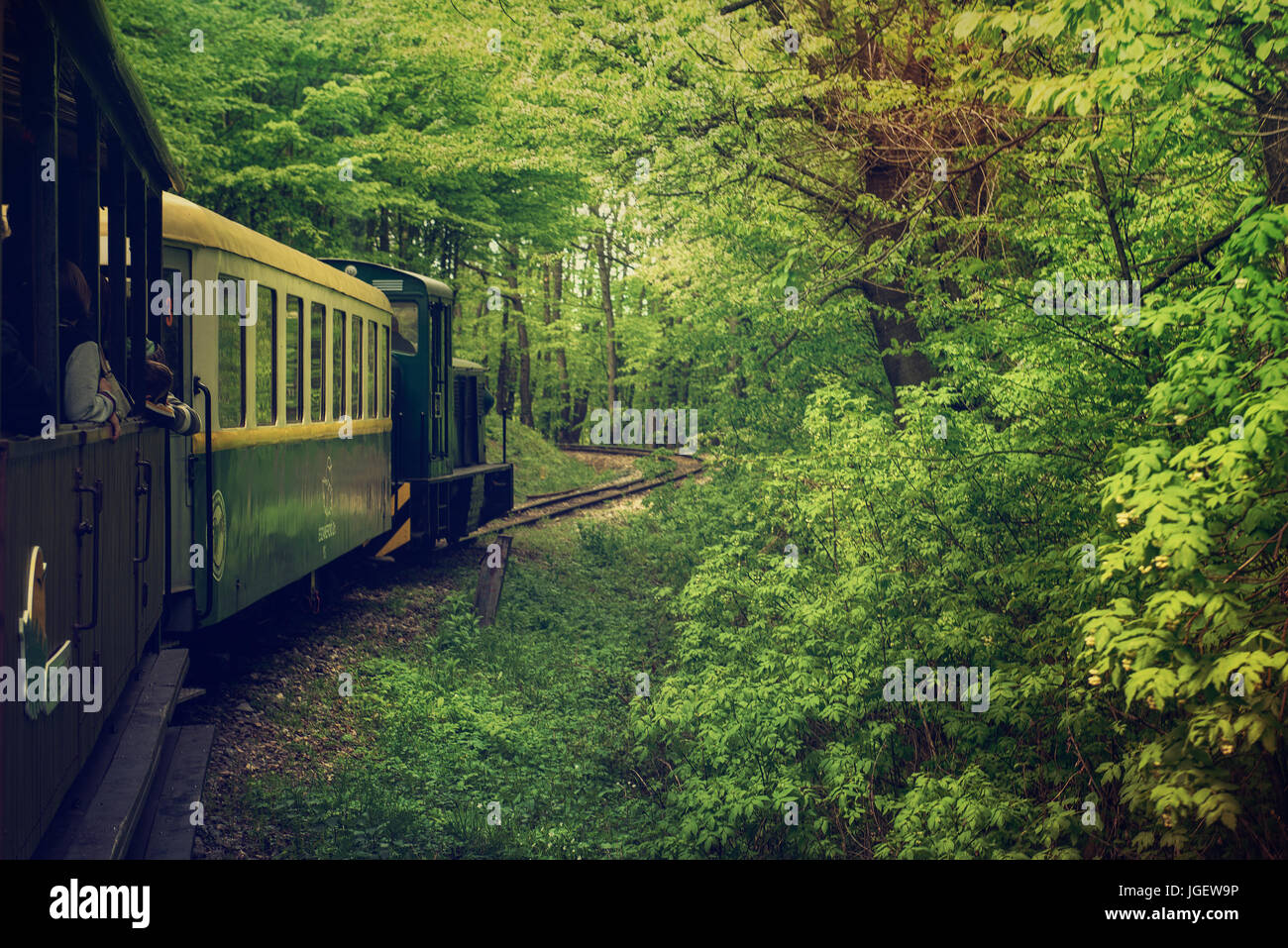 Sightseeing Train in Miskolc Stock Photo Alamy