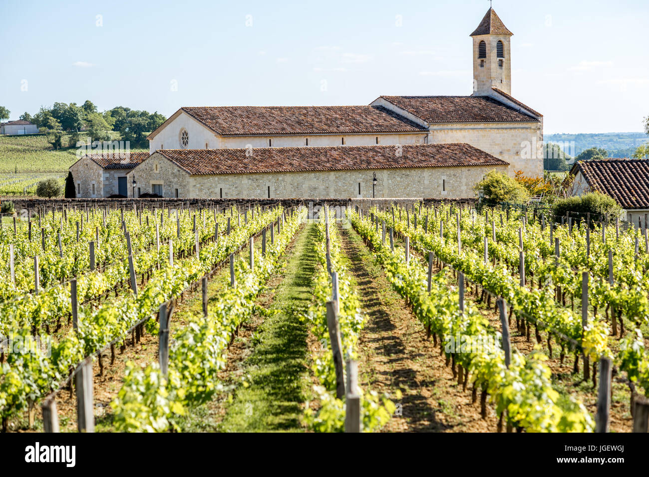 Saint Emilion vineyards in France Stock Photo Alamy