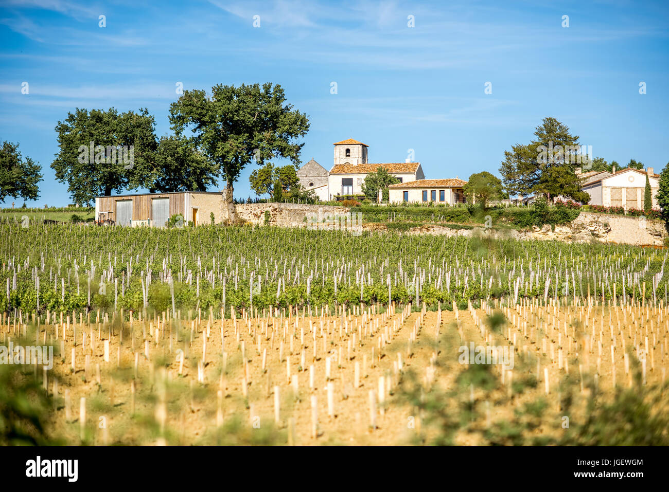 Saint Emilion vineyards in France Stock Photo