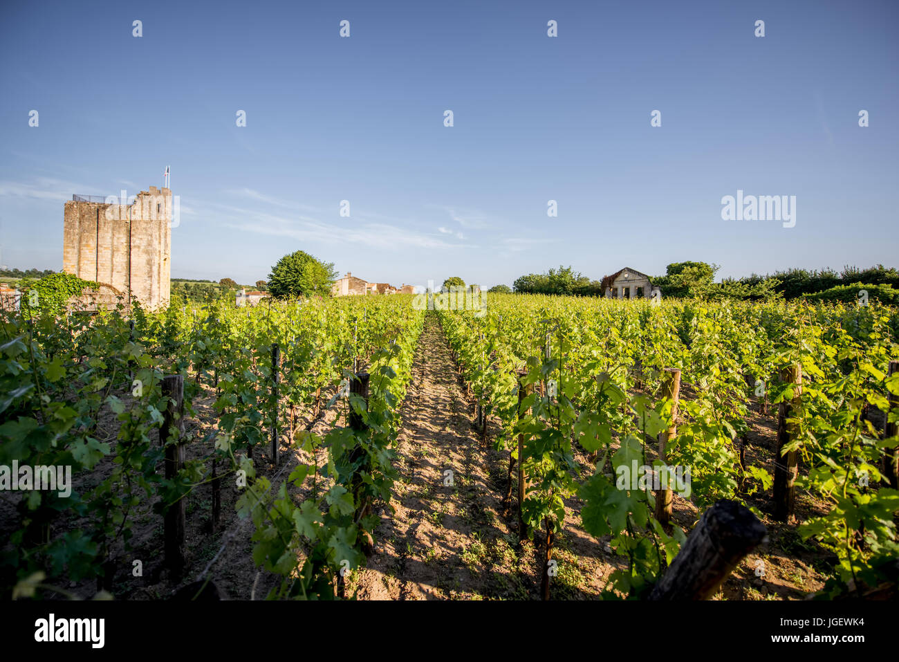Saint Emilion vineyards in France Stock Photo Alamy