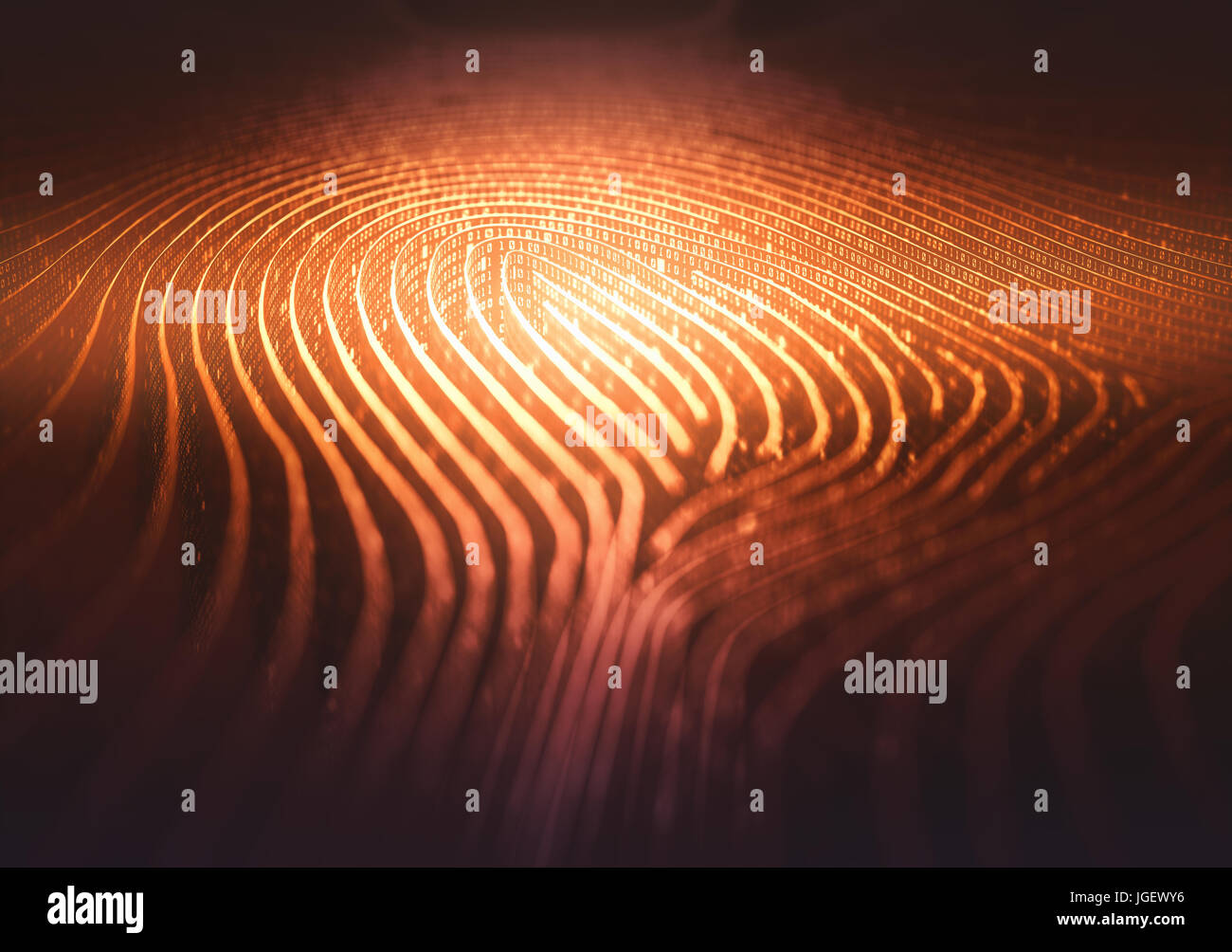 3D illustration. Fingerprint in labyrinth form, with binary codes in reference to individual identity. Stock Photo