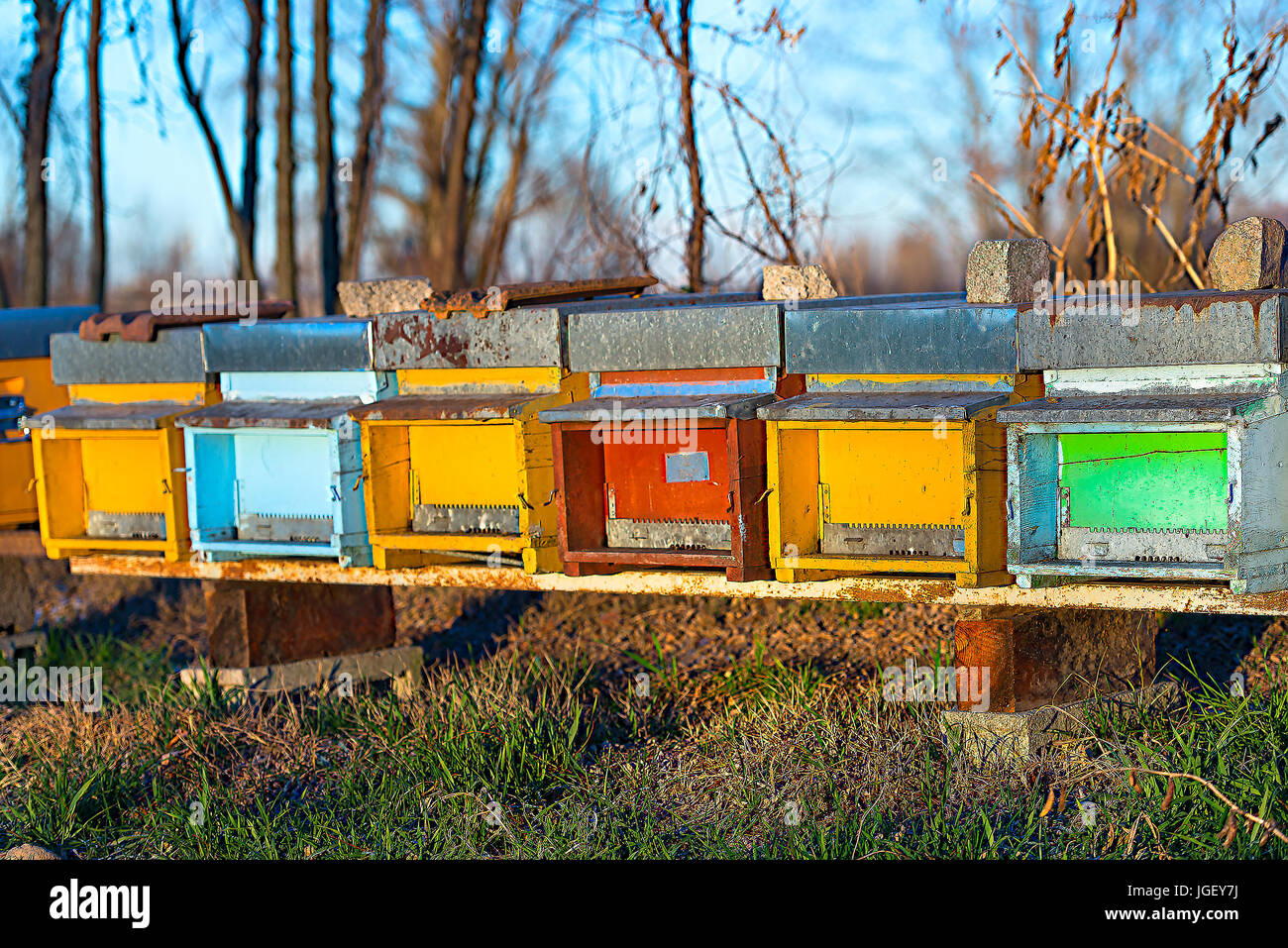 Honey Bee Hives Italy High Resolution Stock Photography and Images - Alamy