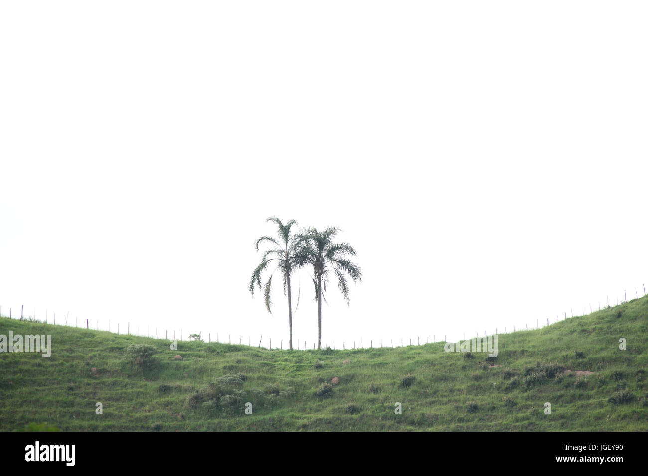 Landscape, farm, 2016 Merces, Minas Gerais, Brazil. Stock Photo