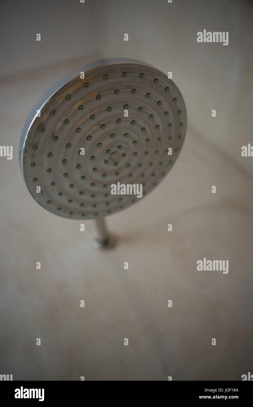 Close-up of shower head in bathroom Stock Photo