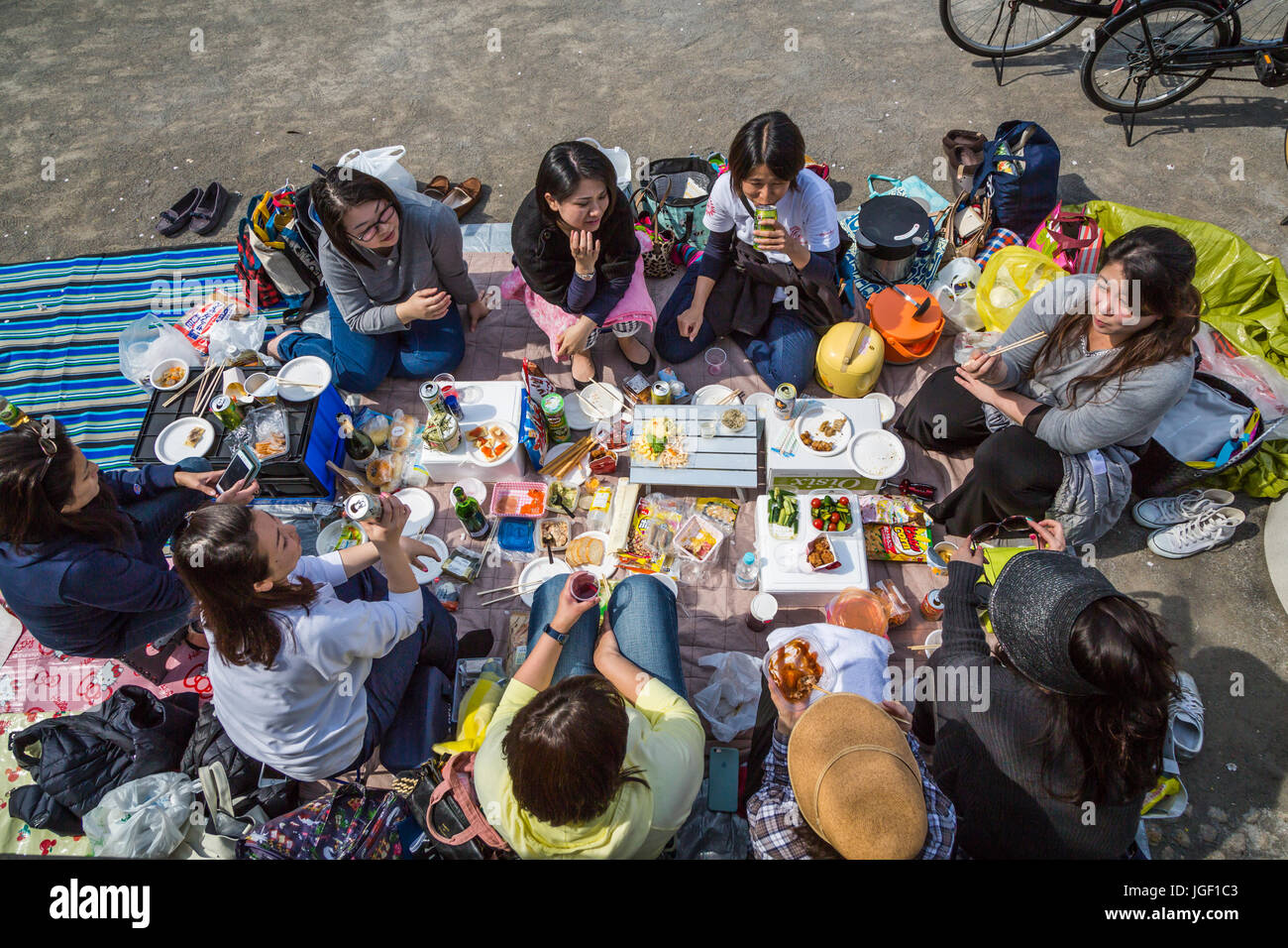 Japanese picnic in the park in Asakusa, Tokyo, Japan Stock Photo Alamy