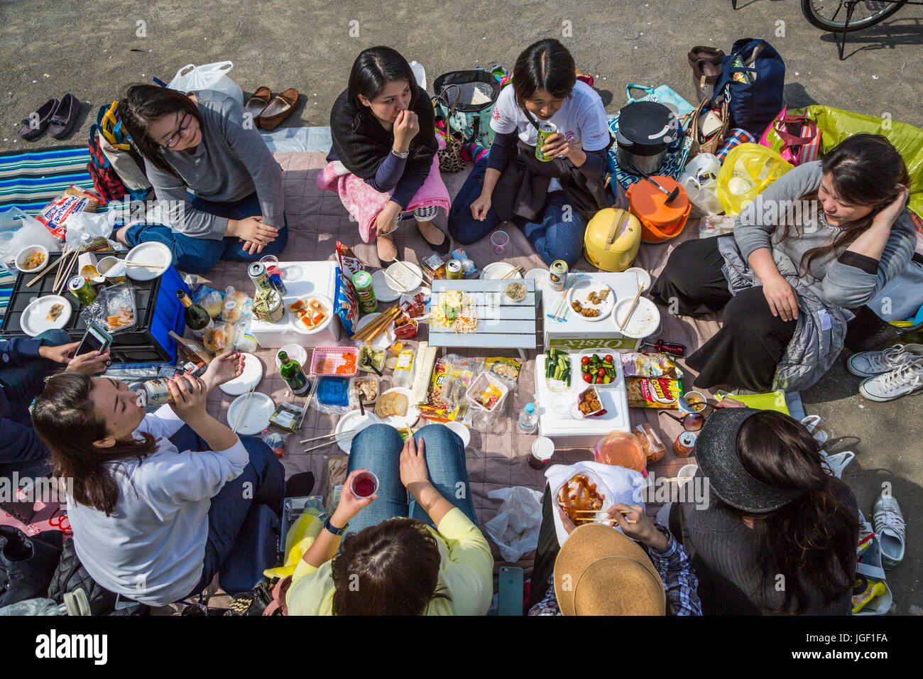 Japanese picnic in the park in Asakusa, Tokyo, Japan Stock Photo Alamy