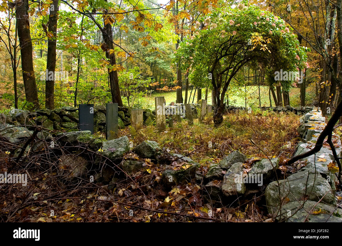 Stone wall new england forest hi-res stock photography and images - Alamy