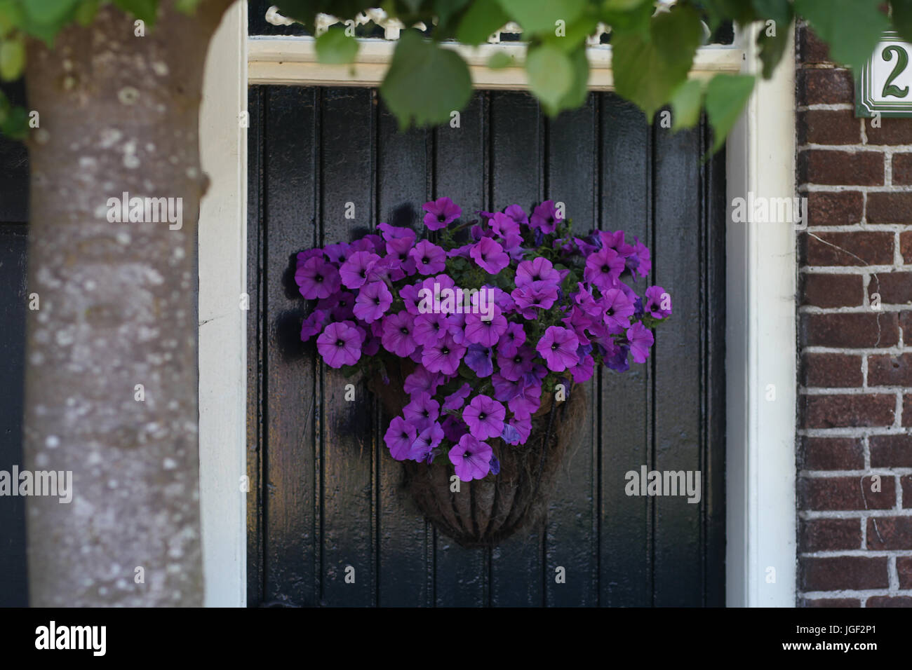 Giethoorn, the Netherlands is known for canals and thatched roof houses.  Province of Overijssel. Stock Photo