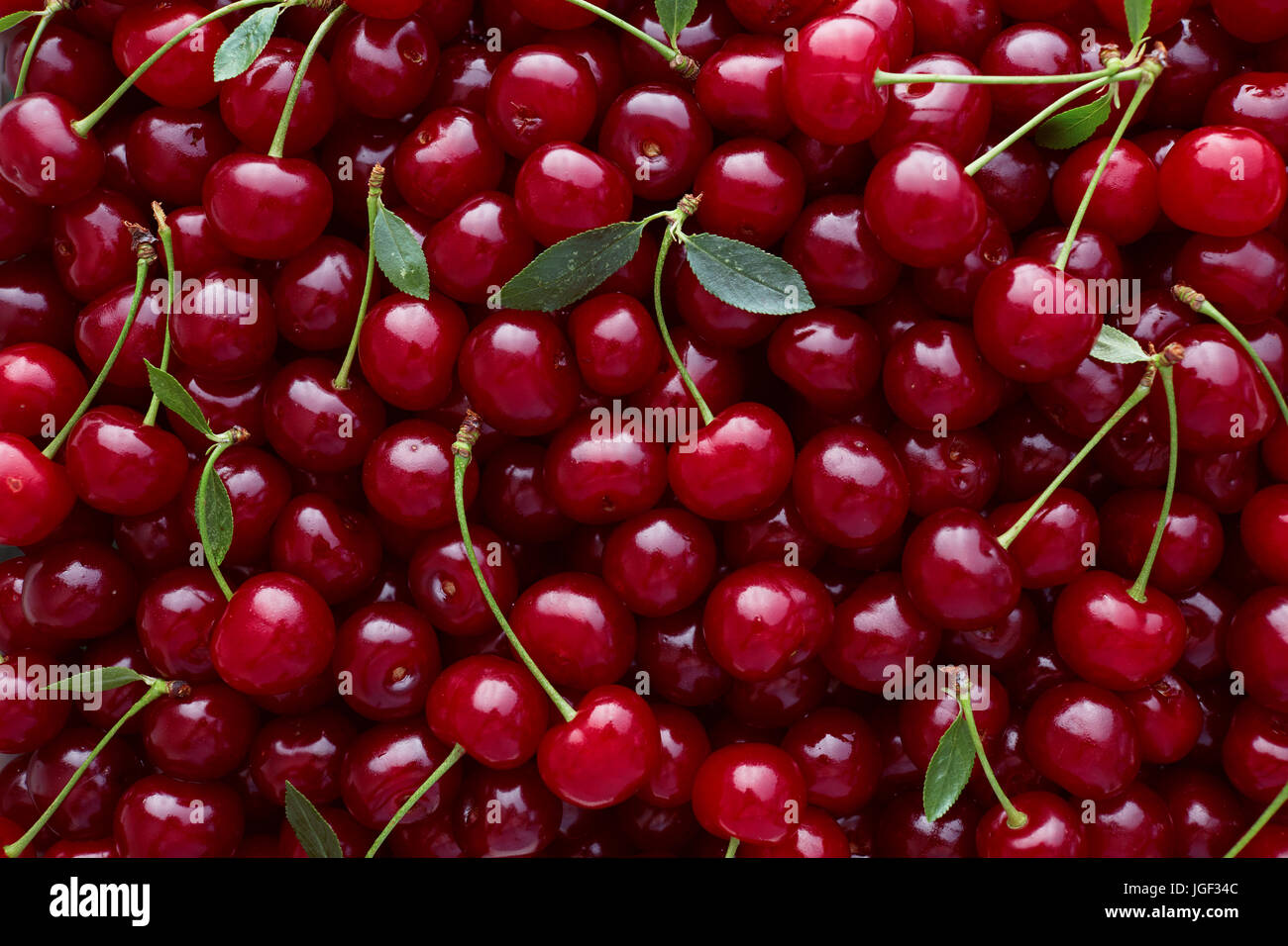 Close Up Of Pile Of Ripe Cherries With Stalks And Leaves Large