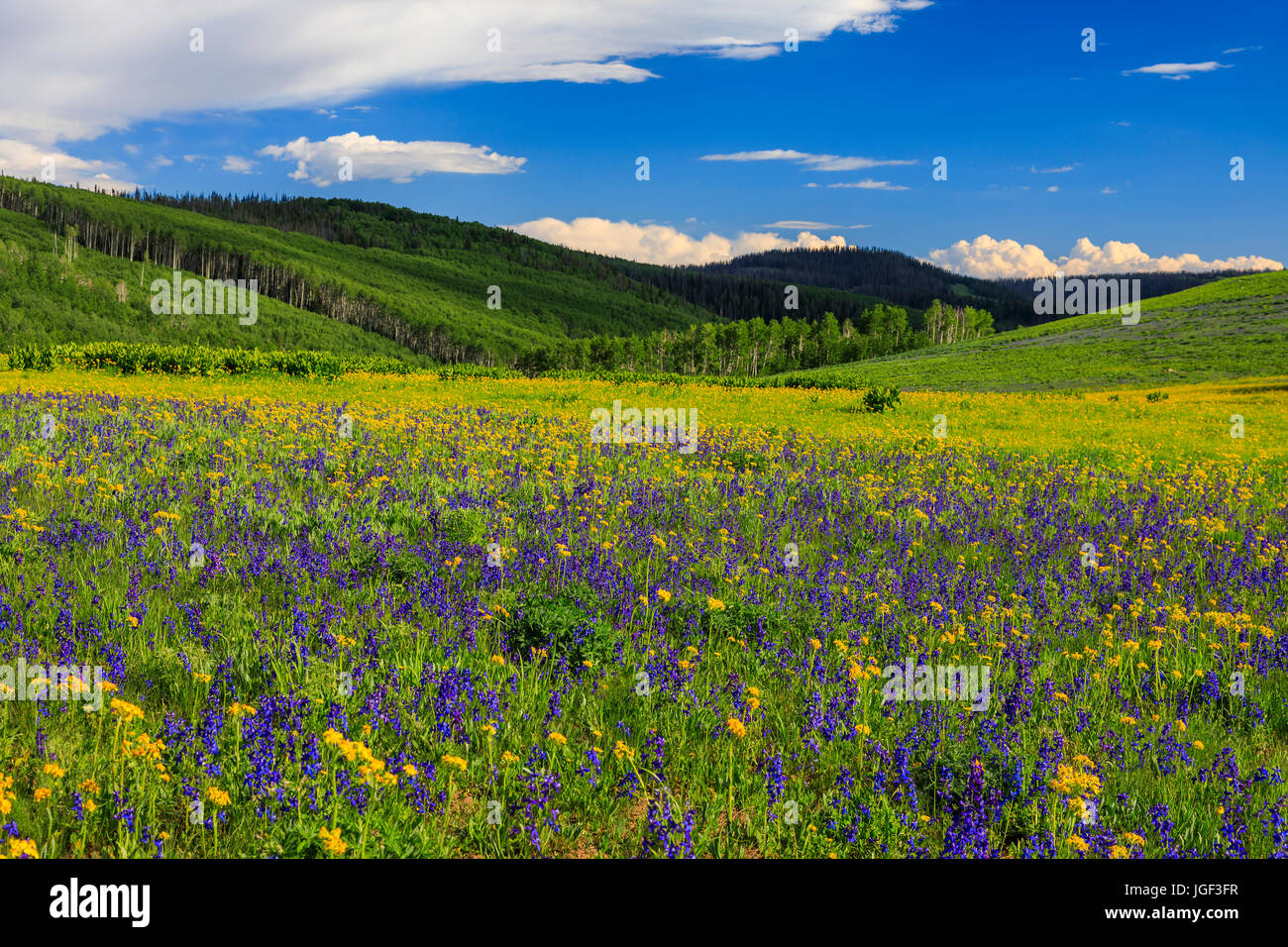 Soapstone basin hires stock photography and images Alamy