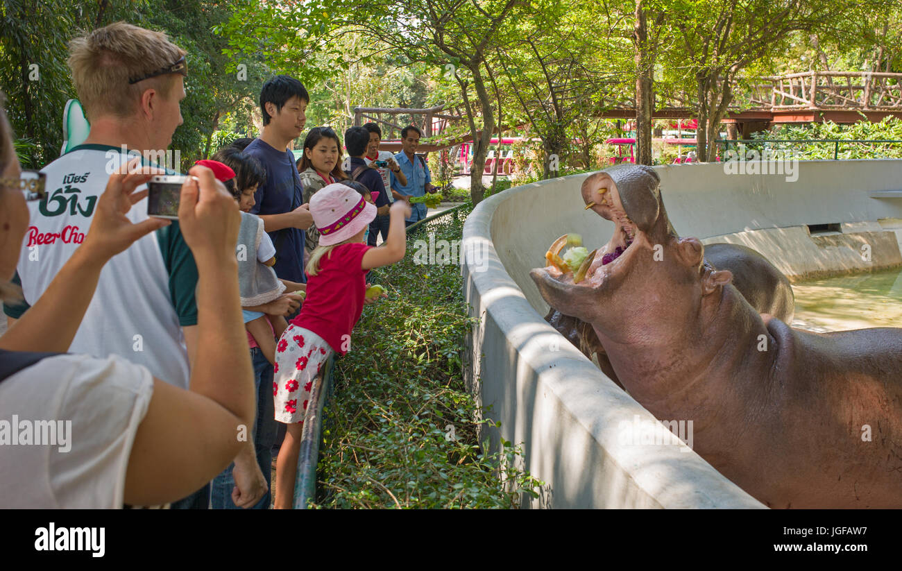 Zoo Hunger High Resolution Stock Photography and Images Alamy
