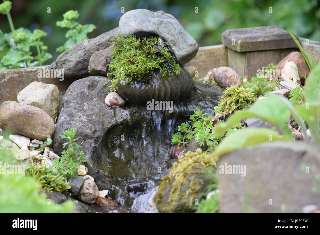 Water in a rockery garden Stock Photo - Alamy